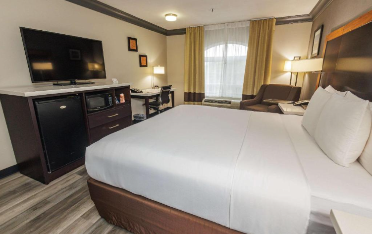 Hotels near Yokohama Cruise Port, Yokohama Hotels near Cruise Port, Hotels near Yokohama Cruise Port with Shuttle